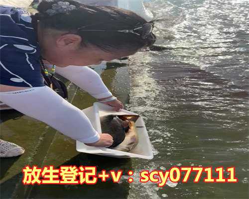 自然之魅力:美不胜收的奥秘