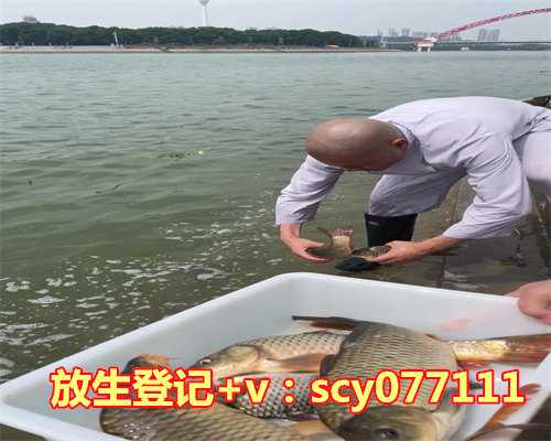 通往心灵自由的捷径:深入解析阿含解脱道次第书教材第十二章的神奇之处