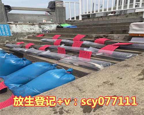这个色身之上,究竟是谁?