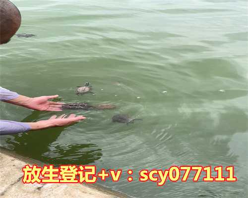 印顺法师谈财富——财富的积聚与消散(佛教对财富的开示)
