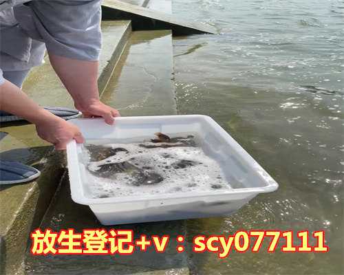 走进禅修圣地:实况分享第四季度七日禅修开示,散香引导的心灵之旅