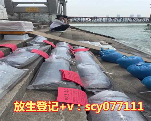 嘎玛仁波切教导:佛教的力量如何影响我们的心灵和生活。