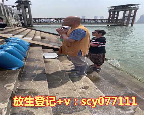 深入浅出:《无量寿经》精华解读,助您轻松掌握佛学智慧