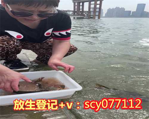 芜湖元旦放生乌龟,芜湖放生池花园,芜湖放生的最佳地点2023