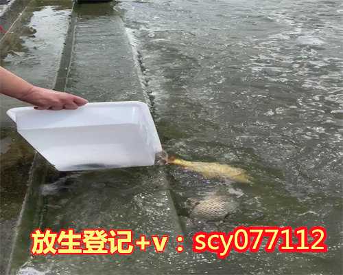 漳州放生青蛙灵异，漳州中华蛤蟆放生在哪里比较好呢，漳州放生当天能吃肉吗
