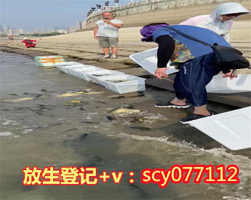 云南放生草鱼有什么寓意和象征,云南哪里放生鳖比较好,云南所缘