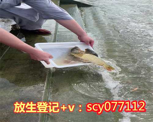 贵州公园放生财鱼，游在贵州佛教首刹弘福寺【图】