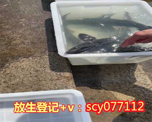 农历九月放生的日子，狮子座是农历几月份的