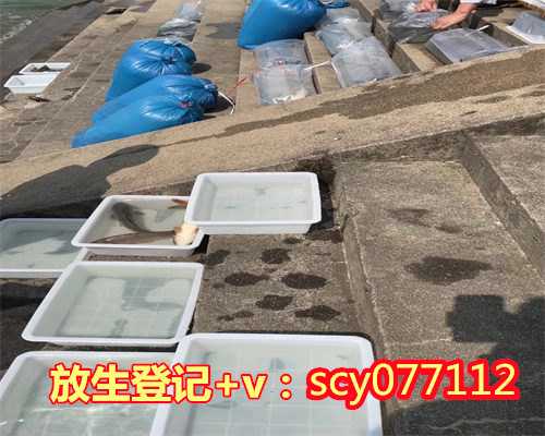 放生河蚌的真实感应是什么，地藏经真实感应