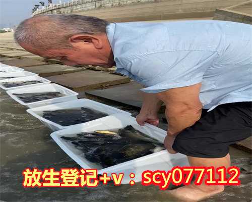 冬天林蛙放生到哪里合适，生从哪里来？死到哪里去？