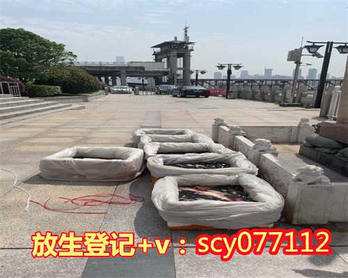禅余空谛辩伪（开悟证悟彻悟有何不同）