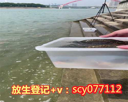 放生鱼为什么放6条鱼，一条让我记忆犹新的鱼！---放生故事