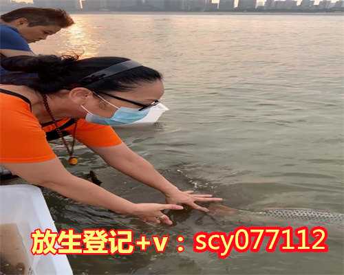 南宁哪能能放生南宁,南宁哪里适合放生松鼠【南宁放生地点有哪些城市】