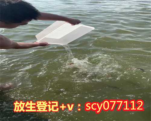 黑龙江放生往生咒,黑龙江市区哪里可以放生野生甲鱼,黑龙江中华草龟放生在哪