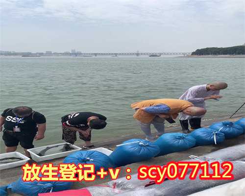 廊坊放生鱼功德,廊坊杭州哪里可以放生小鸭子的地方,廊坊放生黄鳝莫名会流泪