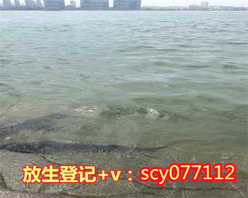 拉萨东莞市放生护生协会,东莞市放生护生协会,放生鱼放什么鱼最好