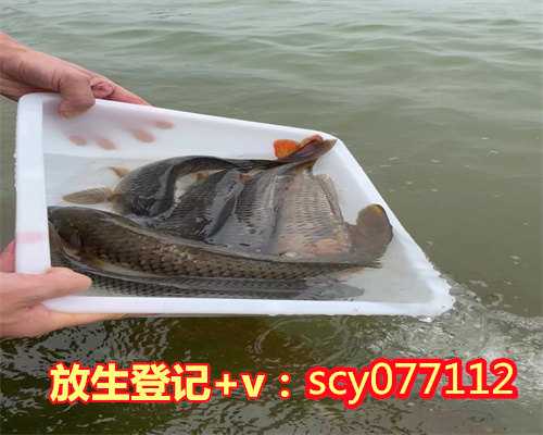 内蒙泥鳅放生放几条最吉利，内蒙何地可以放生动物，内蒙哪里可以放生鱼