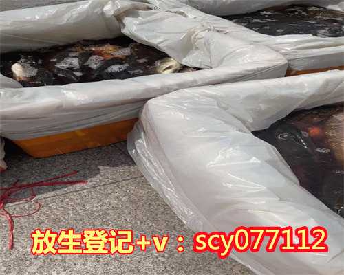 堕胎放生鱼还是乌龟深圳，深圳放生地点少有人【放生的鱼在哪里放好】