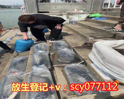 青岛放生微信群，青岛哪里可以放生鸟，青岛天赦日放生放泥鳅几条合适？