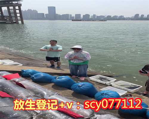 南京放生鱼在哪买的，金陵刻经处成立150周年纪念会在南京举行