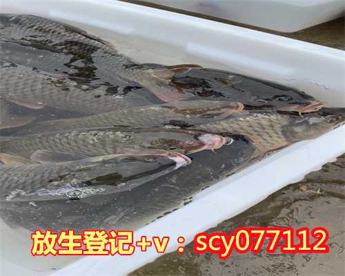 做过流产需要放生吗无锡哪个湖可以放生【无锡放生群】