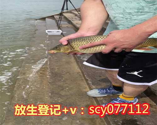 云南哪里可以放生乌龟，云南个人放生的地方，云南辣椒蟹能放生吗