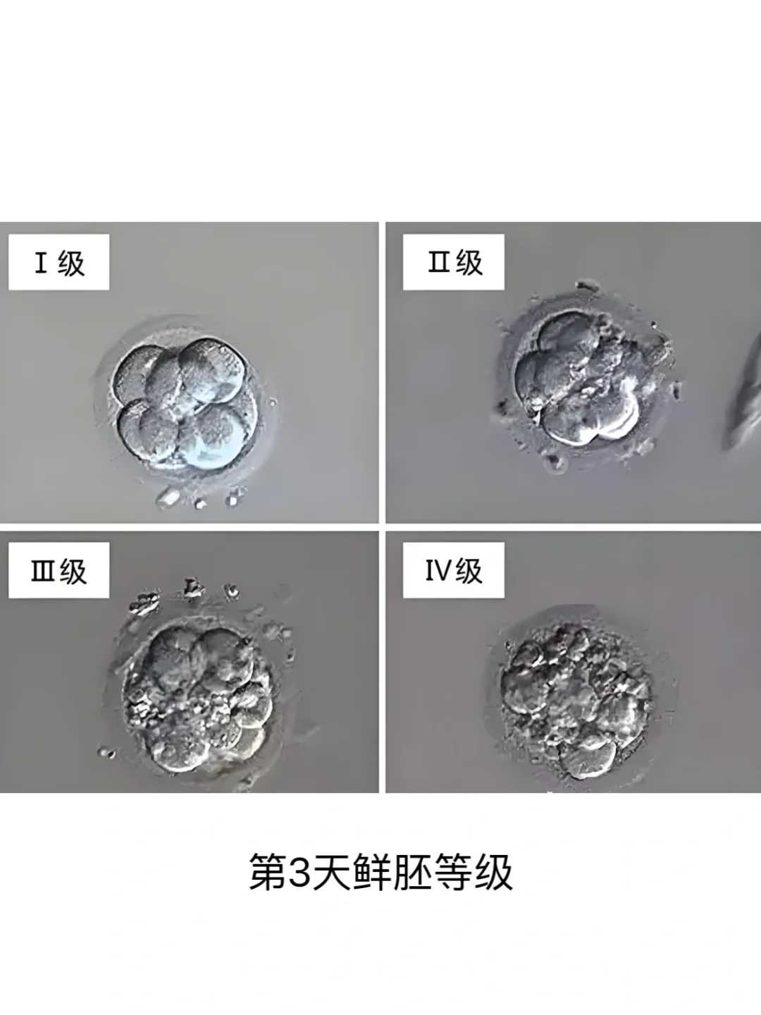 放生七条鲫鱼有什么讲究，岁月已老，心还年轻