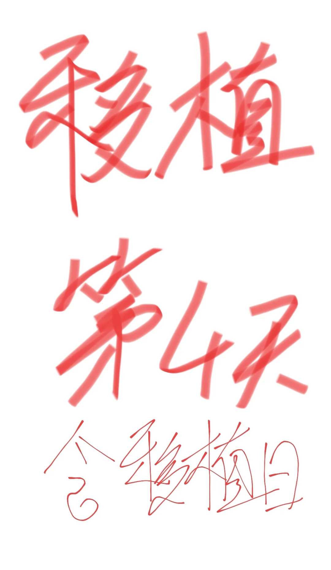 乌龟放生到寺庙的池子里好吗，放生泥鳅最有灵性