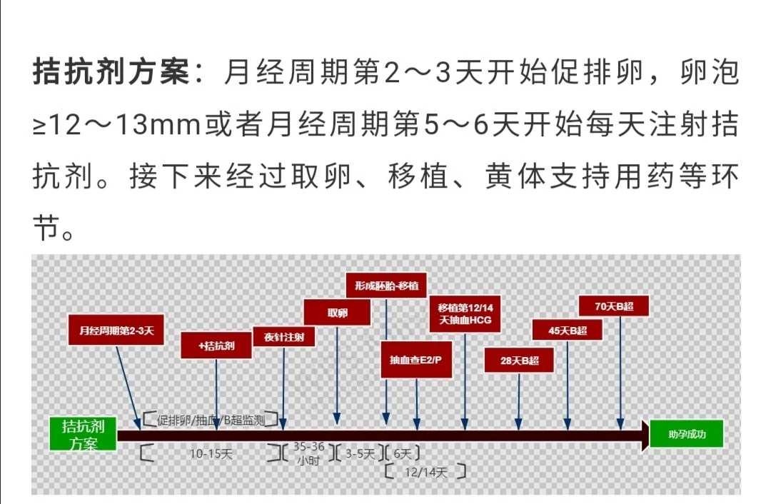 捞了别人放生的鱼后果会怎样_宣化上人：为什么要放生？放生也就是放我_1