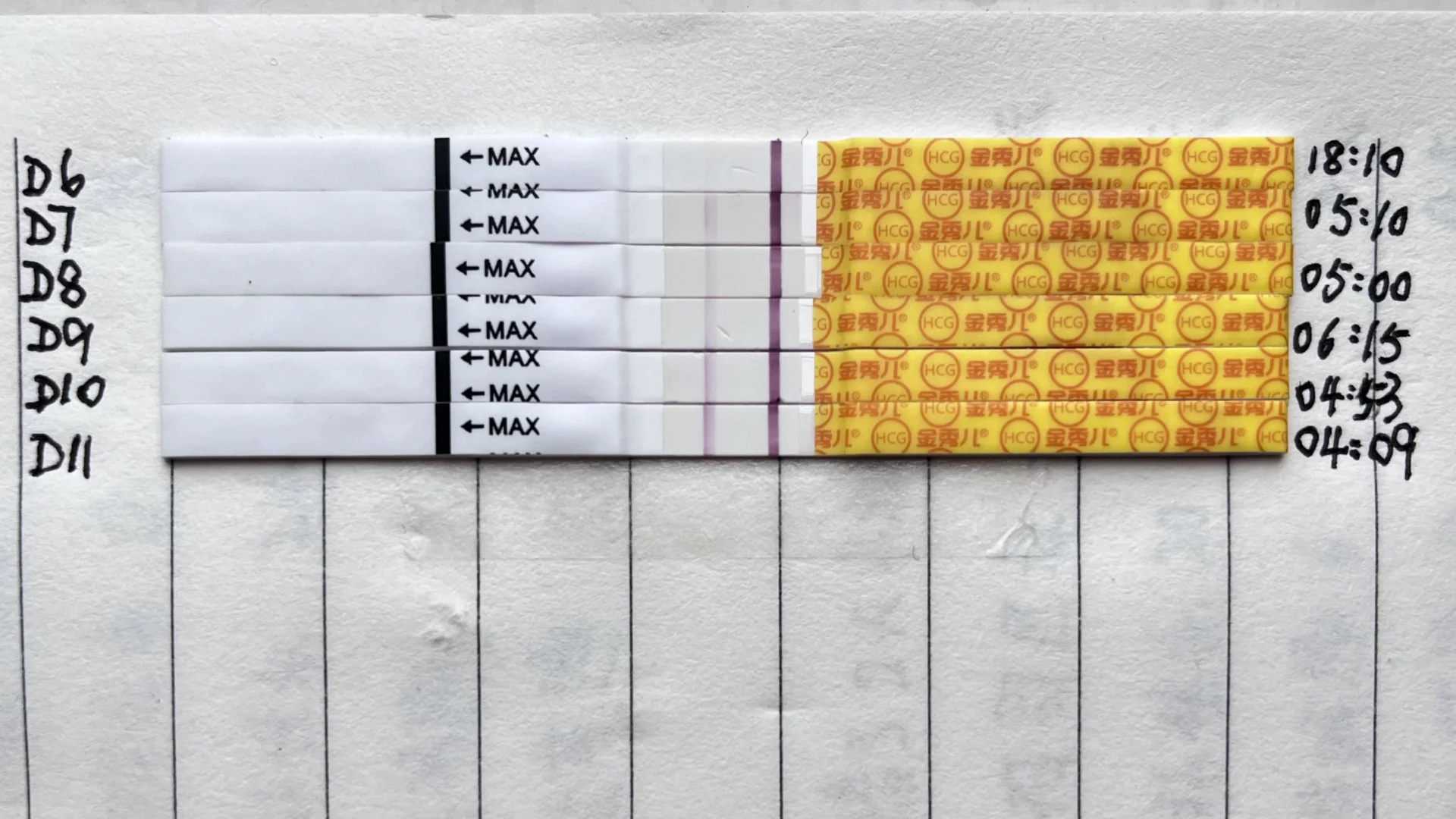 放生大乌龟有啥好处，​行善应从心上行，戒淫当从念上戒