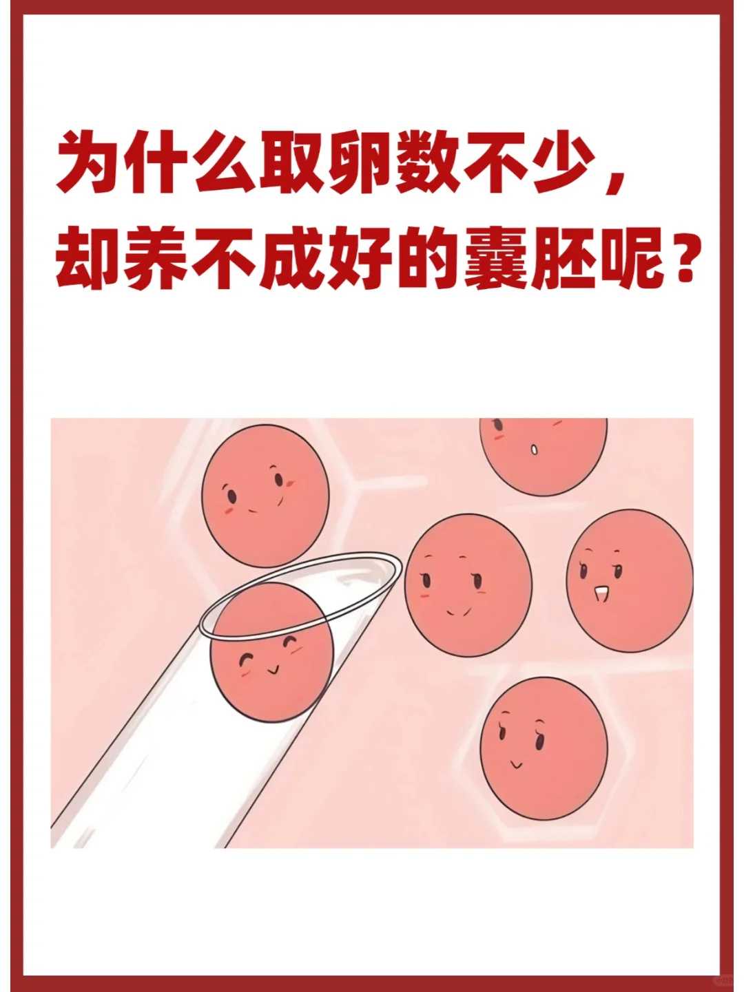 放生泥鳅的寓意是什么_天黑了心亮了