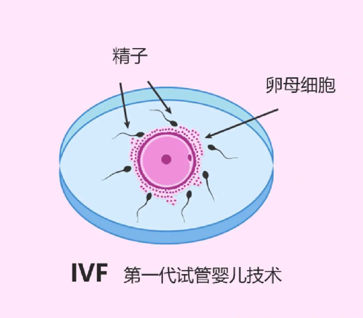 放生鱼的好处和功德_佛教对教育的几点看法