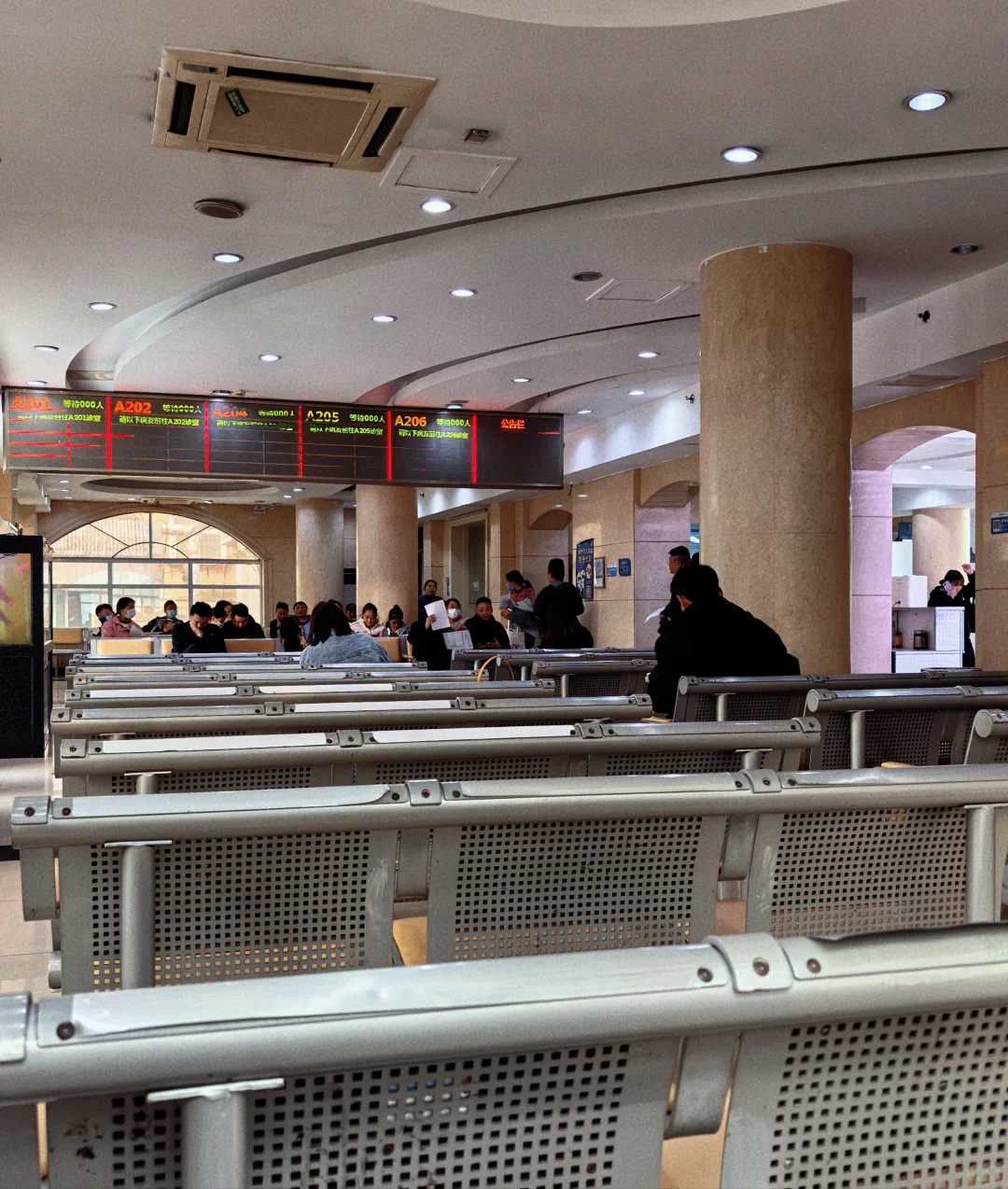 阜阳南宁放生龟,阜阳彭州去哪里买放生的鱼