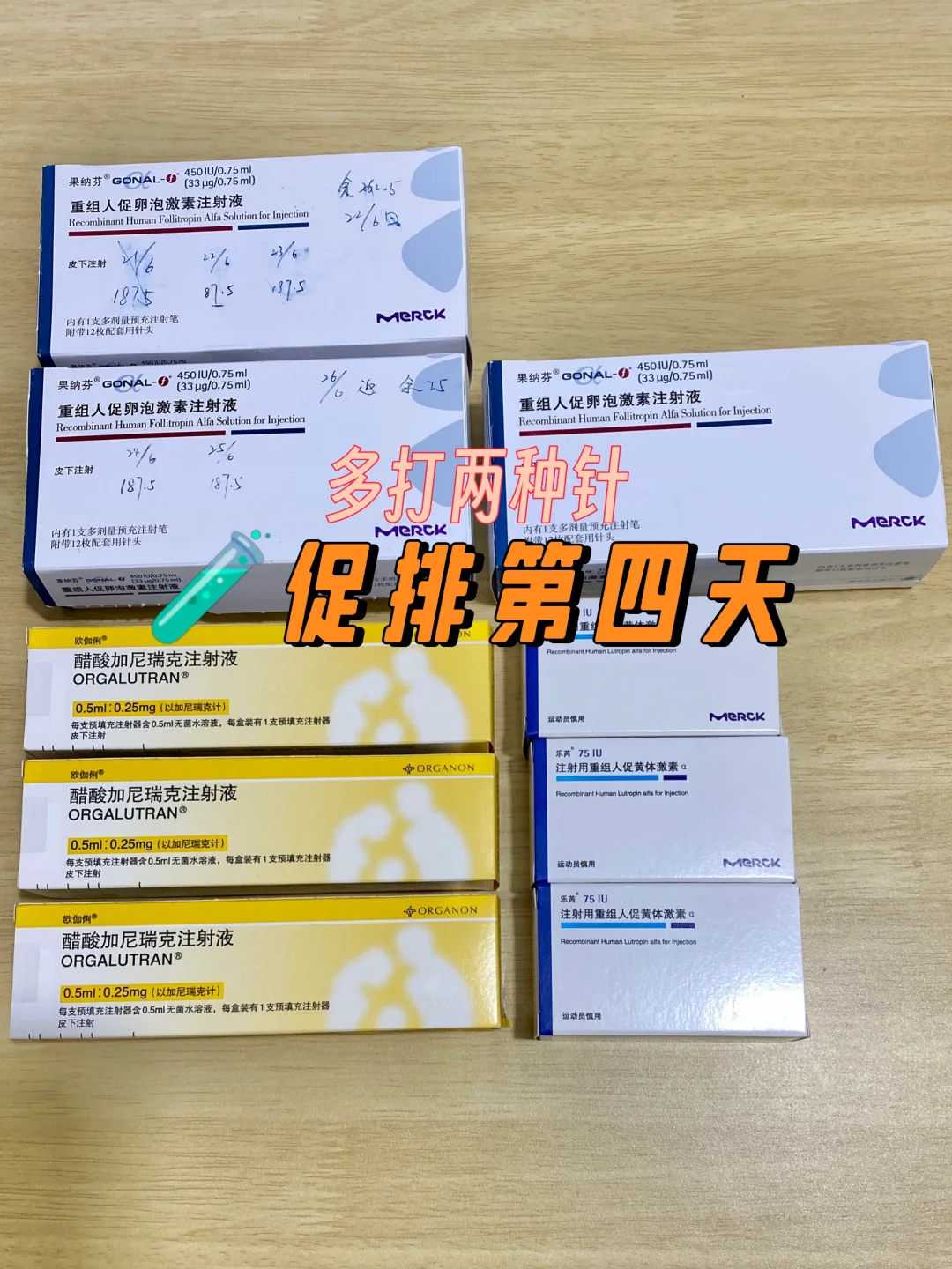 放生桥_十一种不用花钱就能放生积大福的方法