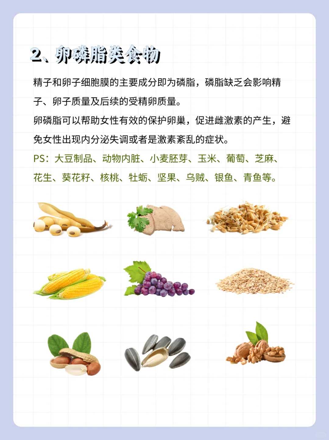 初一放生祈福的语句_《弘化》2012年第1期（总第71期）灵岩家风与佛教教育