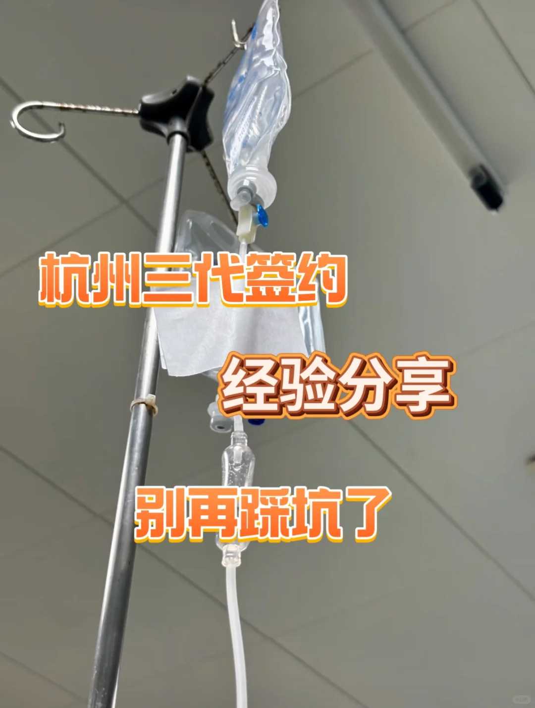 一天之中什么时候放生最好，一花一世界一叶一如来