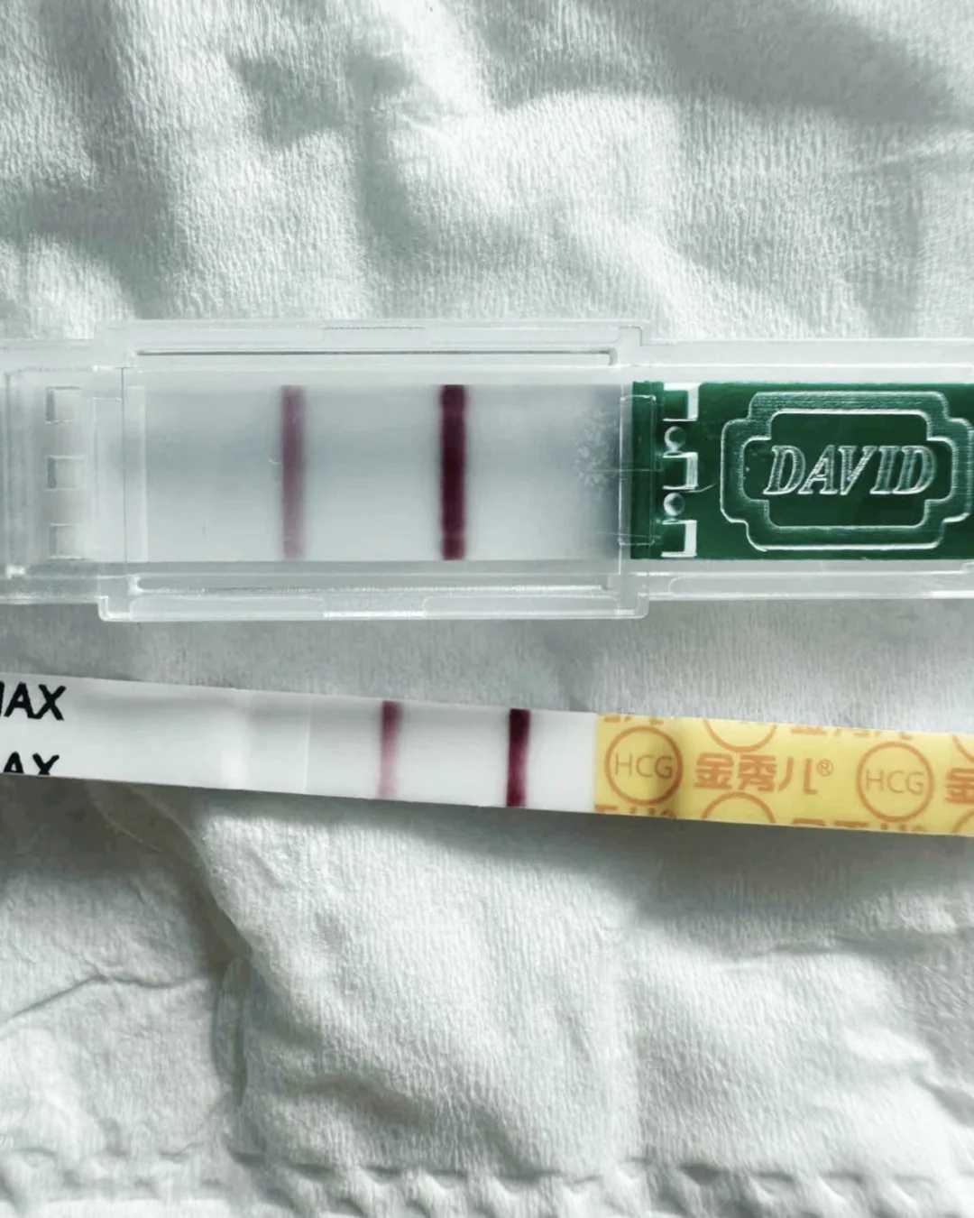 苏州放生违法,放生螺丝的功德和福报【南京放生地点2022】