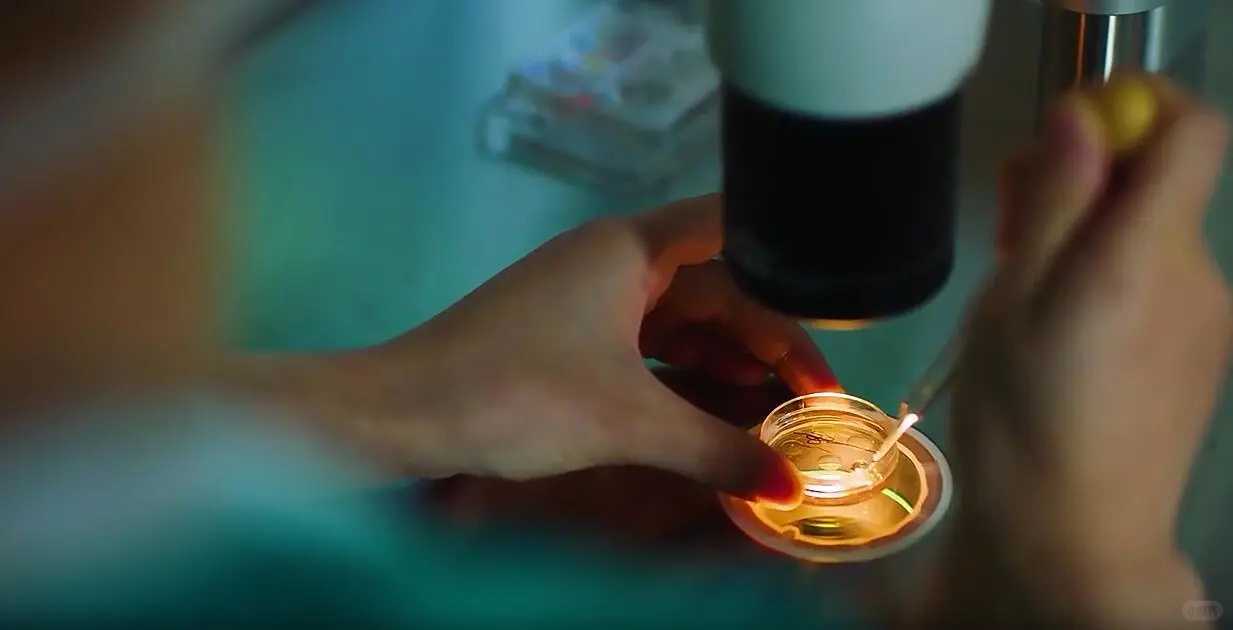 放生鳖有什么寓意_娃娃鱼现身郑州污水处理厂可能是市民放生