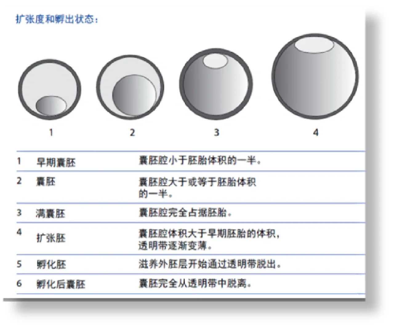 代放生网站，放生乌龟有什么好处吗