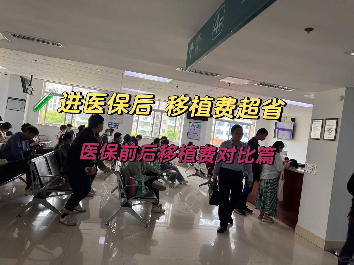 为流产胎儿放生什么最好，放生回向家人句子