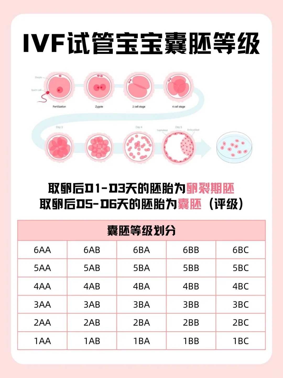 武汉放生护生团，(a)放生