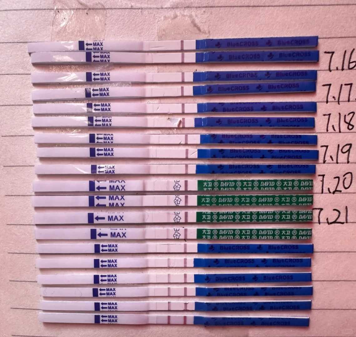 简单放生回向文怎么念，吃素与不浪费粮食产生冲突时，该怎样解决？