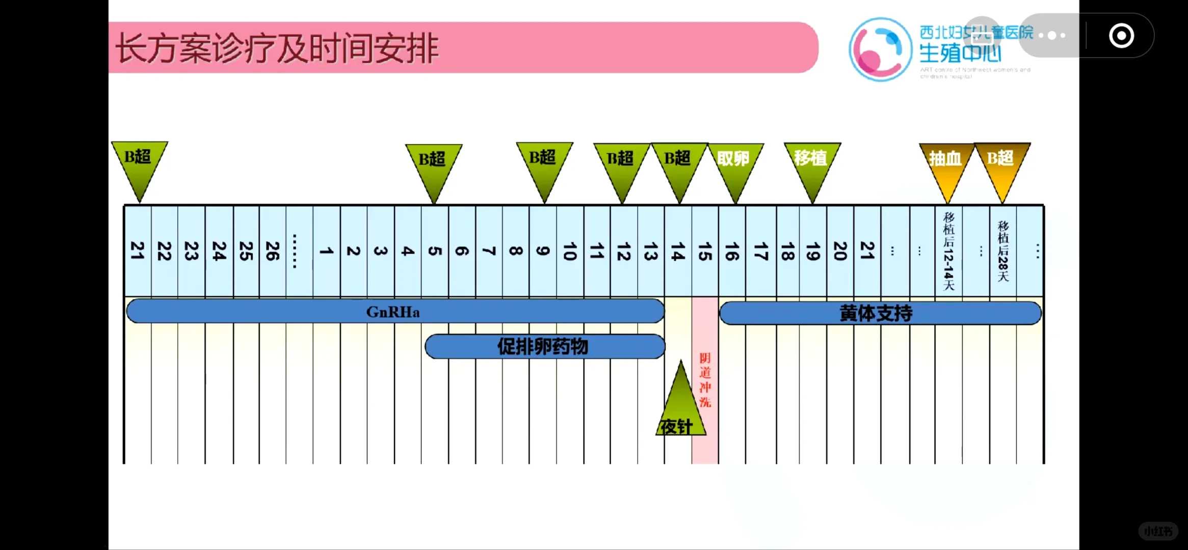 求子买鱼放生，2015年度第40场放生活动公告