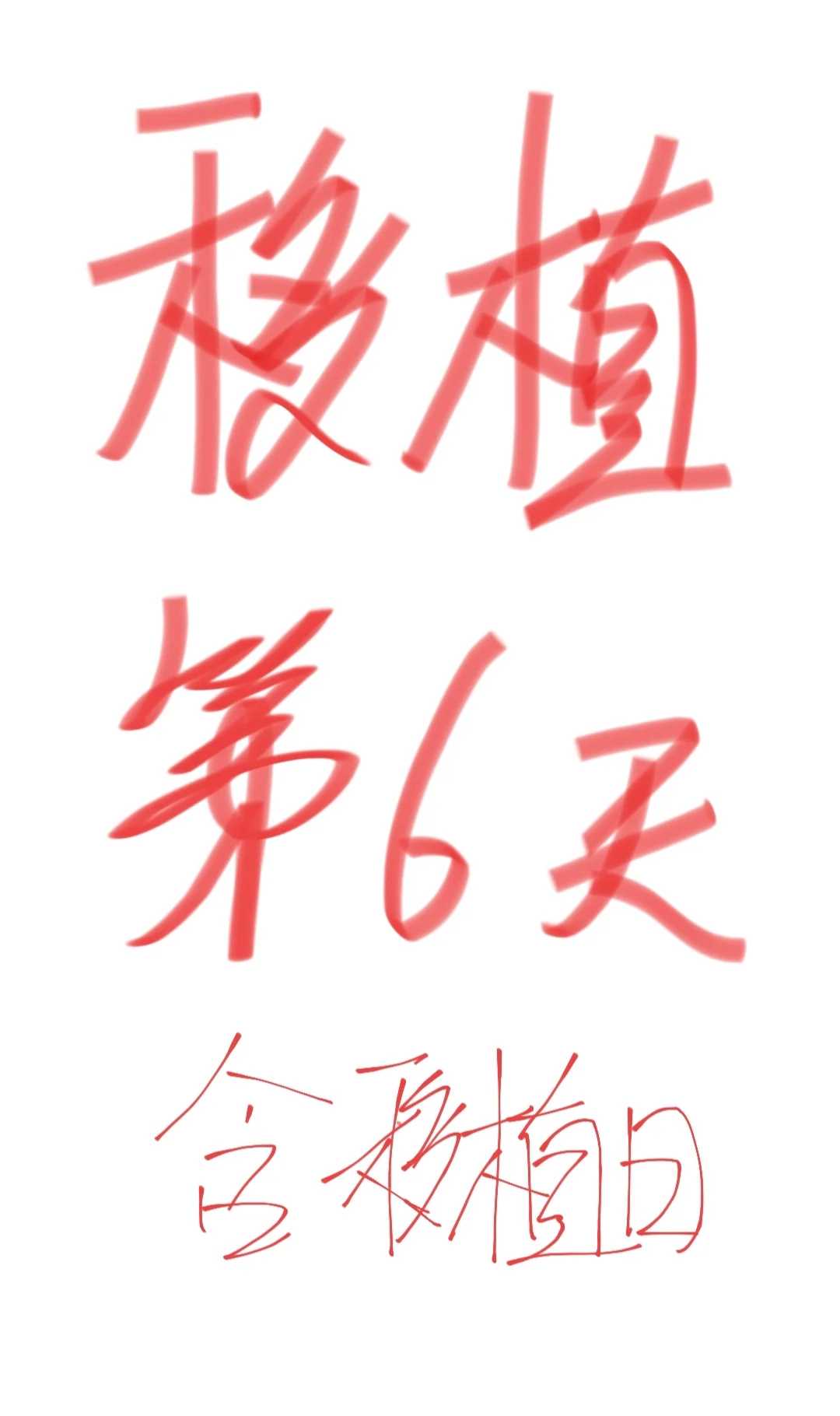 小乌龟放生到哪里合适，放生布施3个月的感应