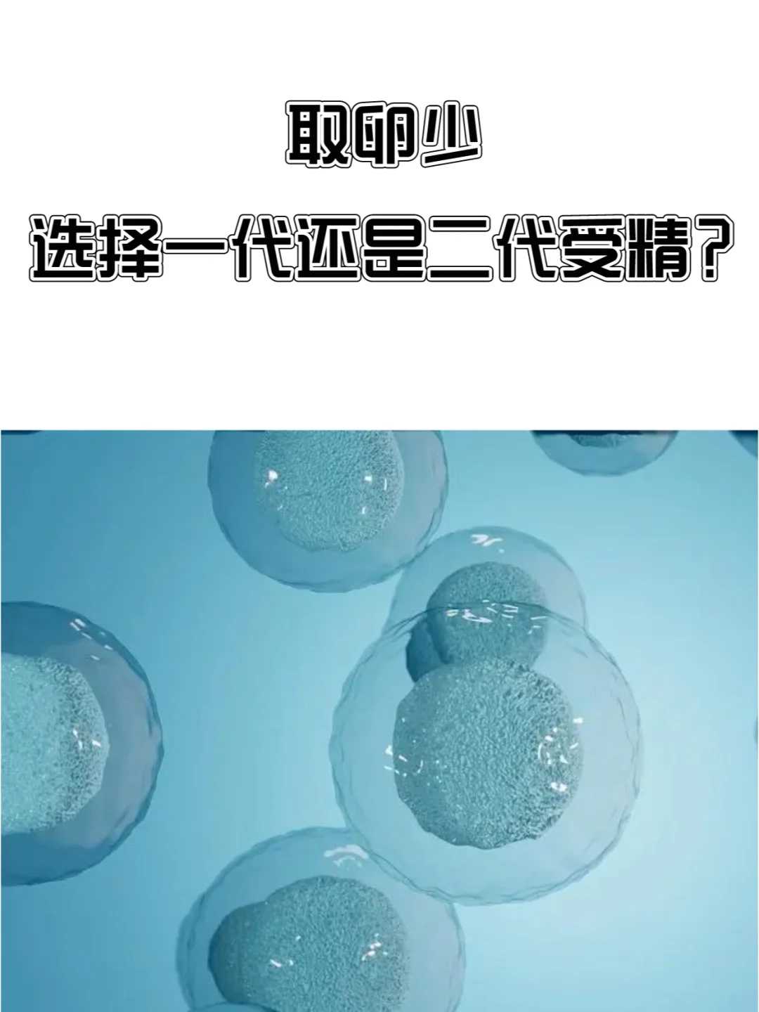 螃蟹怎么放生_诸华香禅放生法事-无畏布施