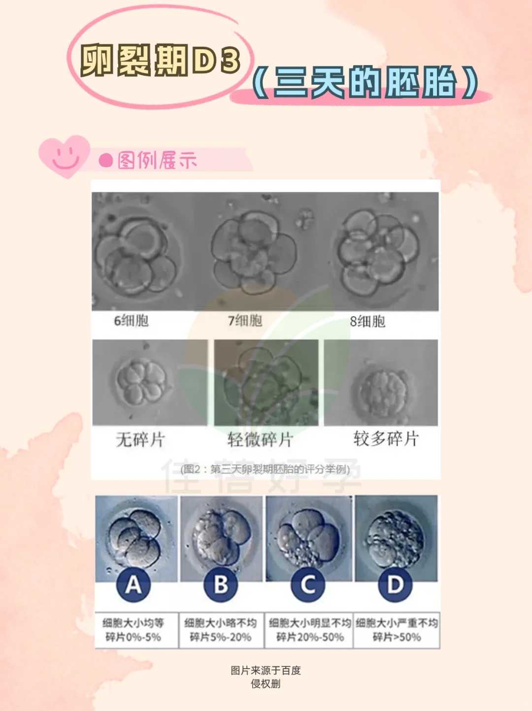 为什么放生泥鳅果报大_杭州师兄救赎物命感言