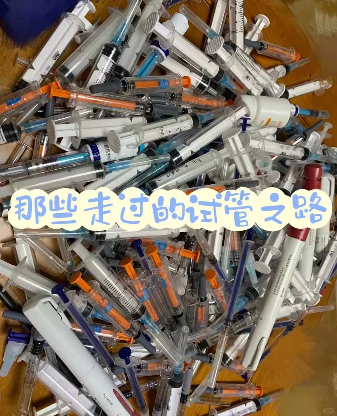 2022年9月放生吉日，佛法不是去除心的分别