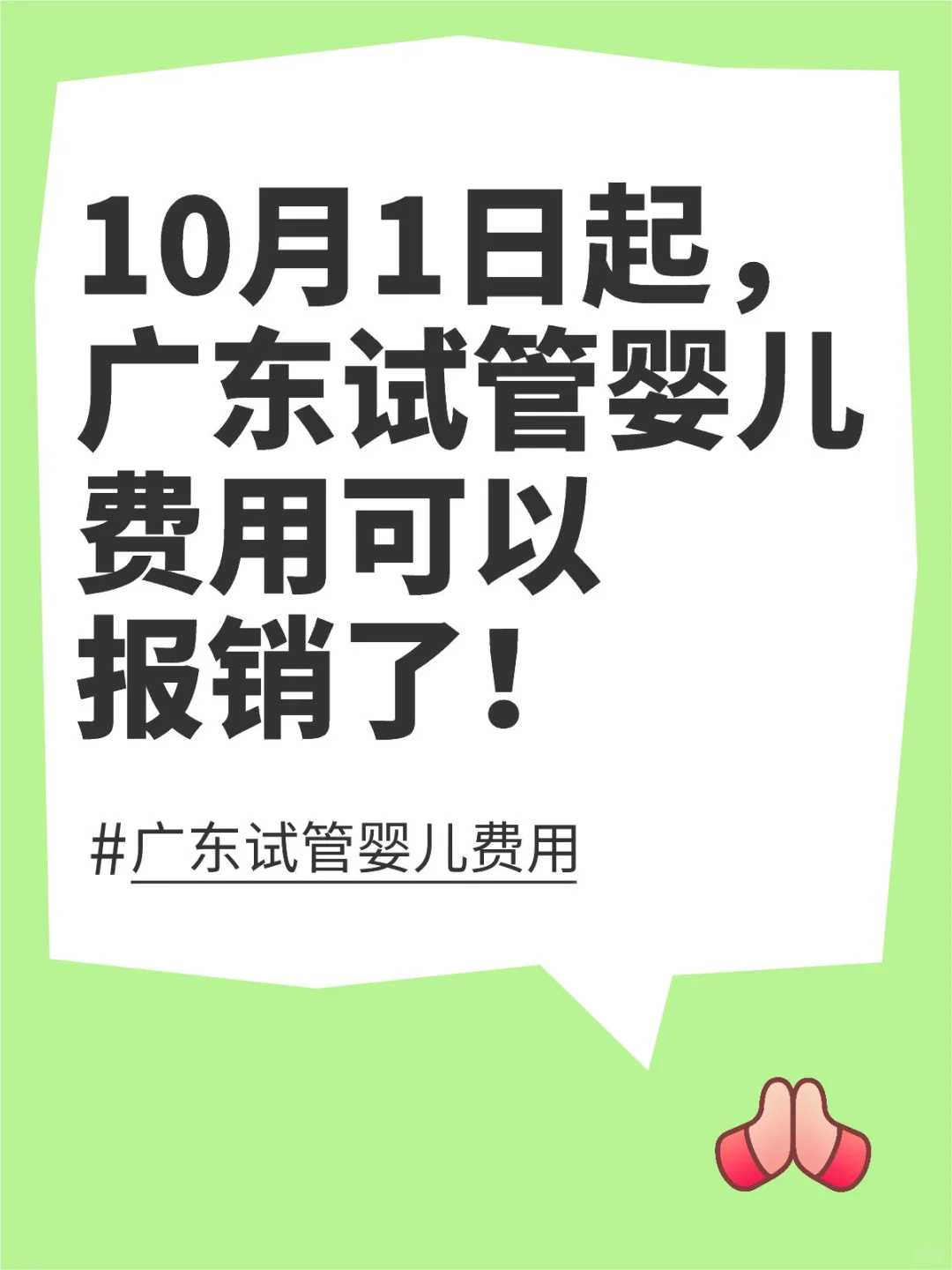 乌龟能放生到河里吗，佛教常识：出家修行的十点要求