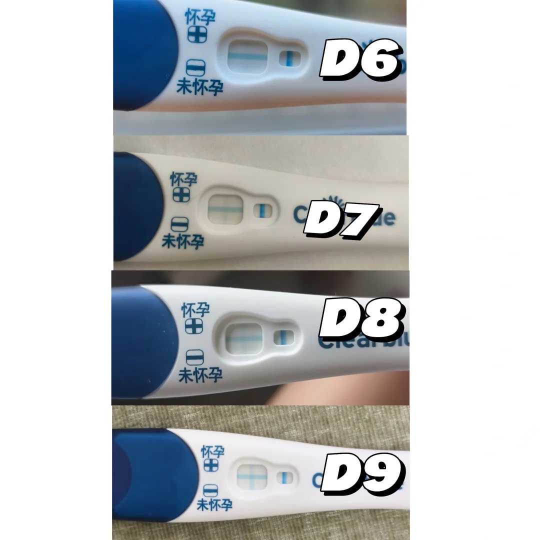 放生泥鳅要说什么话_印光大师：念佛与阅经读论是什么关系？