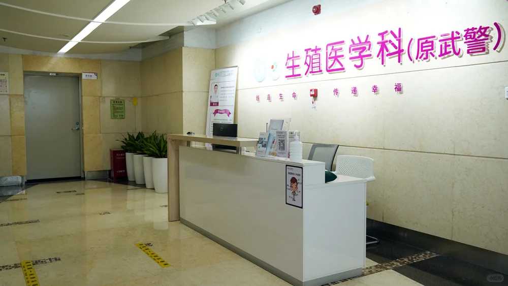 什么日子适合放生鱼和鲤鱼，宗教团体放生黑鲷钓客大丰收